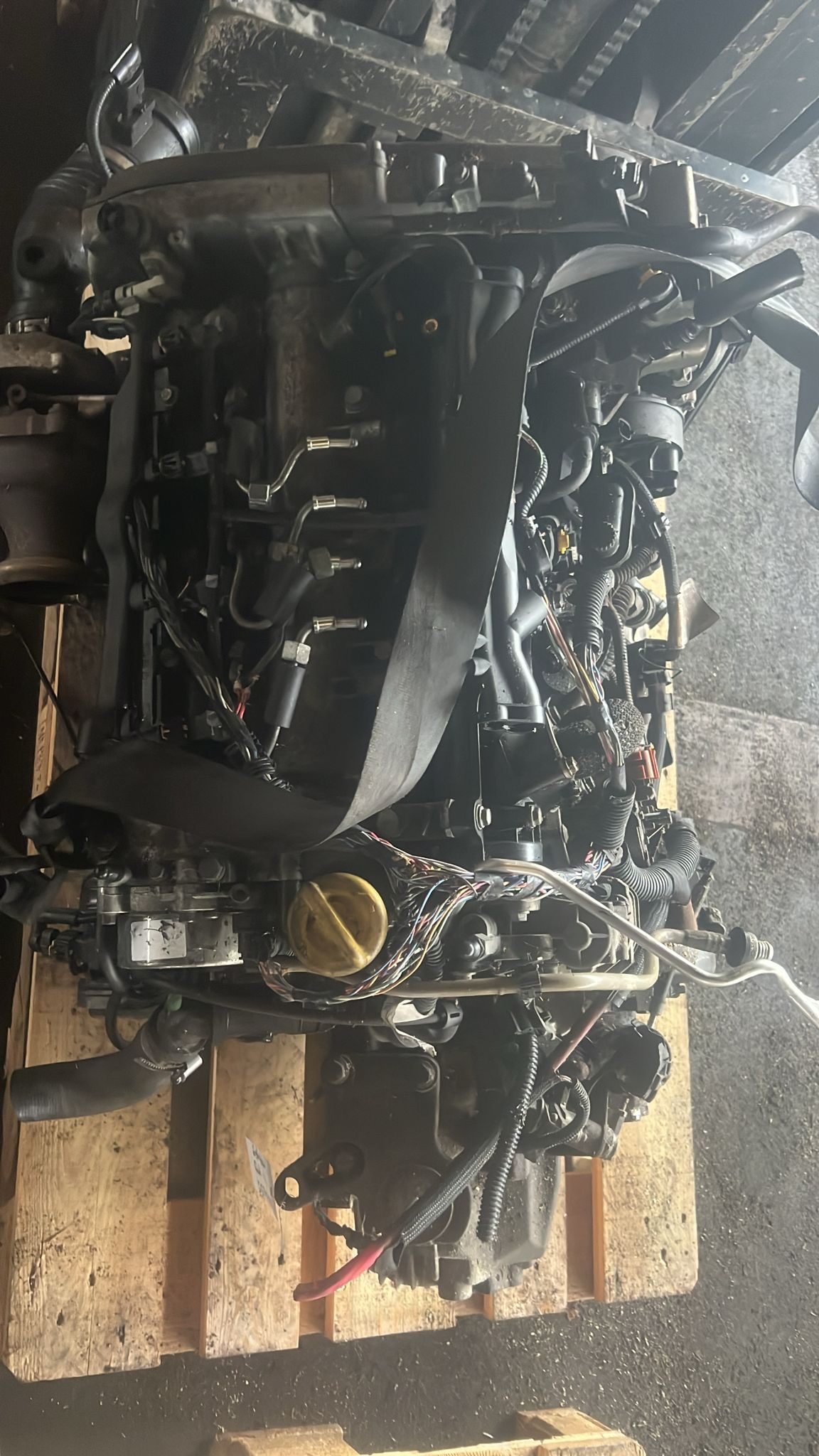 Motor / Fiat-Lancia / 1.6D / 169A2000