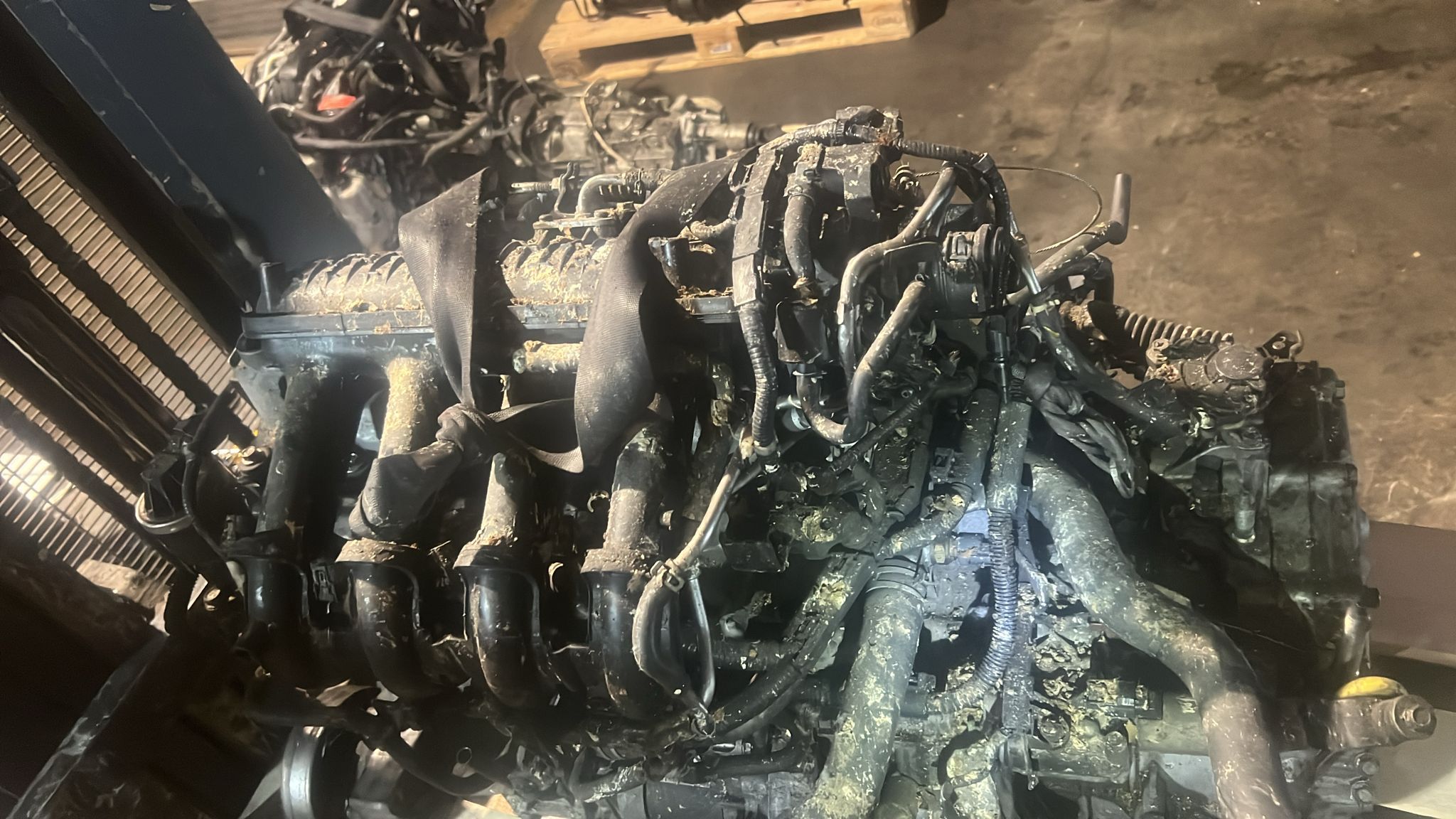 Motor / Honda Jazz / 1.3 Benzin / L13A1