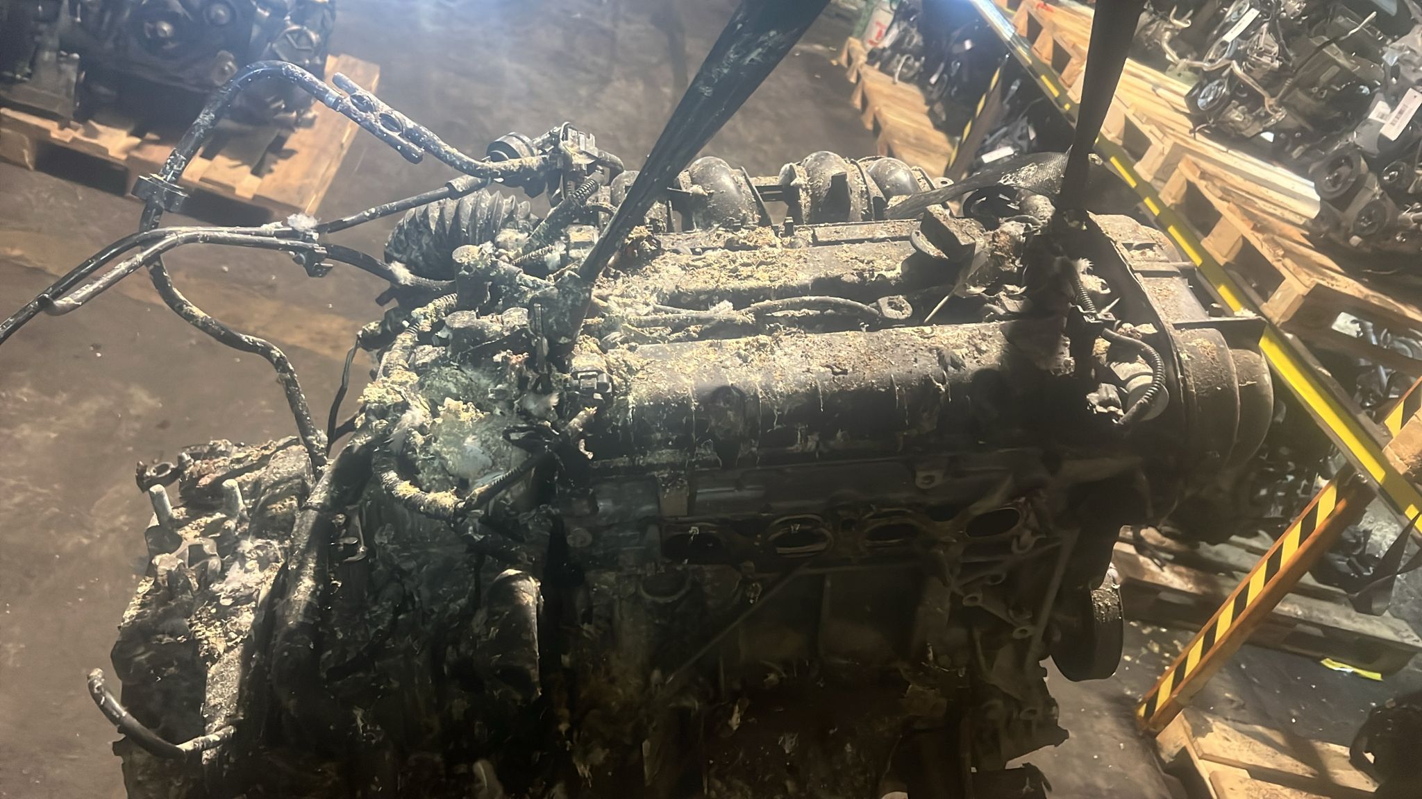 Motor / Ford 1.6 / 2014 / IQJA