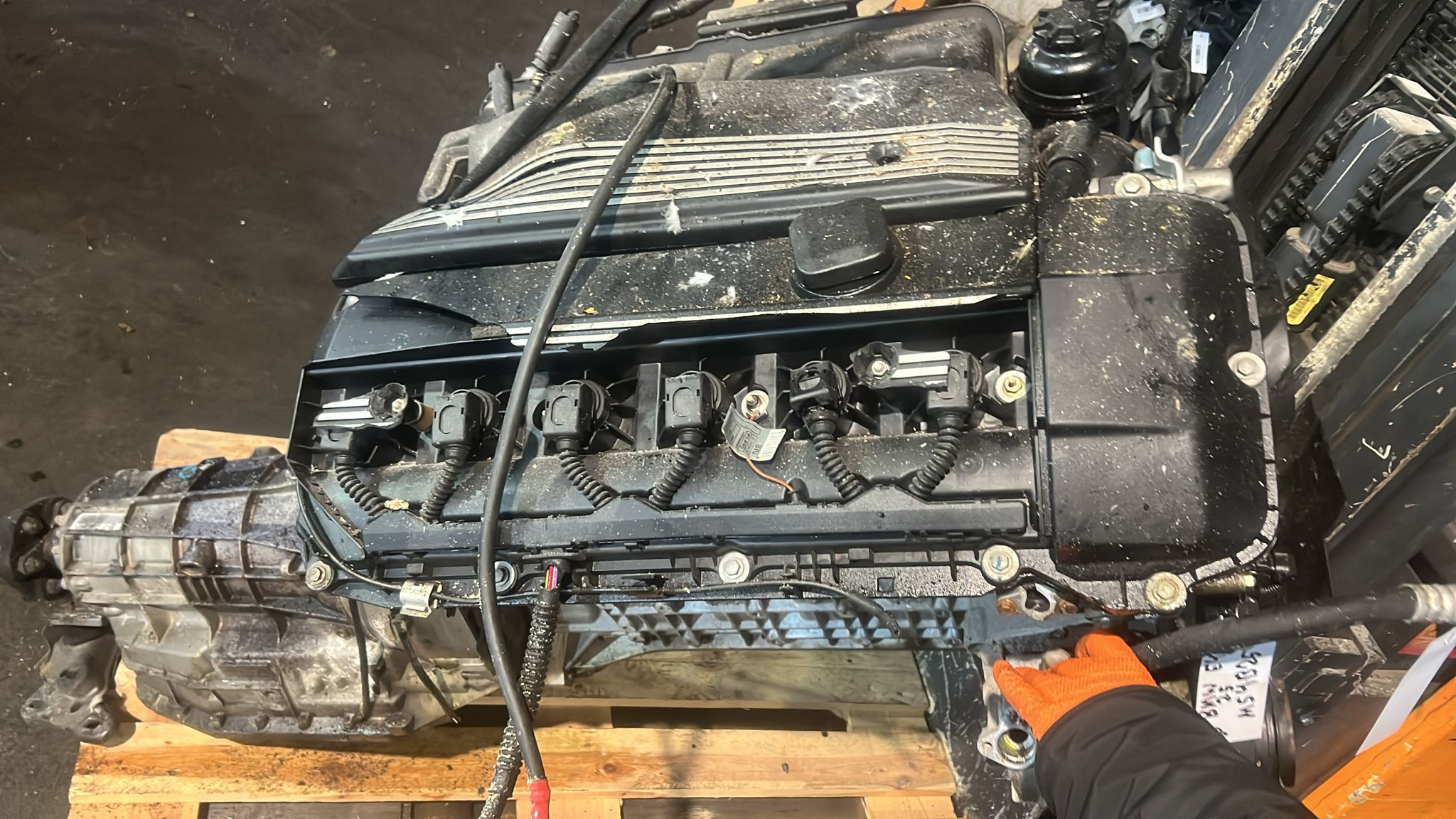 Motor / M54B25 / 2.5B / BMW E46