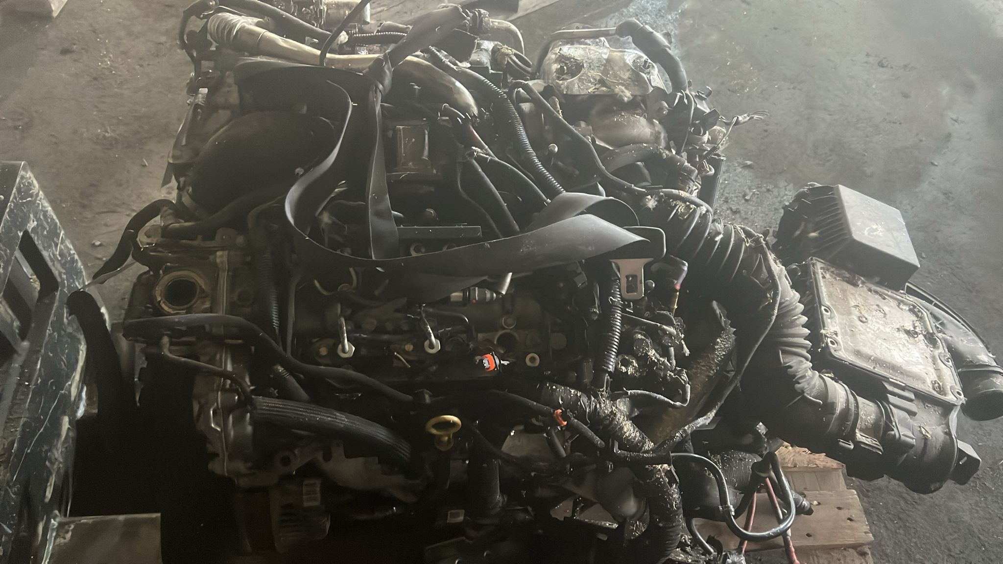 Motor / Renault / 3.0 Diesel / V9X891