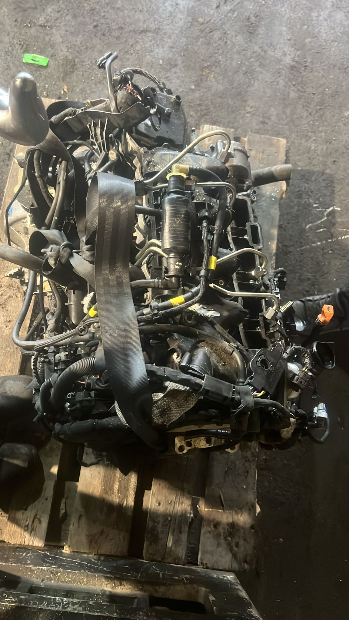 Motor / PSA 9HZ / 1.6 D / 80,000 KM / Peugeot / Citroen