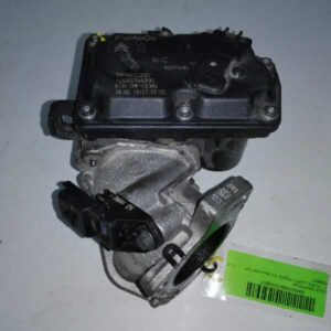 Drosselklappe CITROËN JUMPY [2012] 9806625280