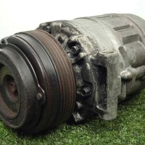 Klimakompressor BMW 5 (E39) 4472208025 DENSO - 5.CANALES 7SBU16C