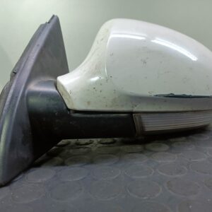 Außenspiegel links VW PASSAT B6 (3C2) E1010781